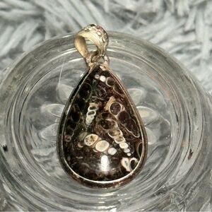 Elegant Silver and Turtilla Fossil Teardrop Pendant